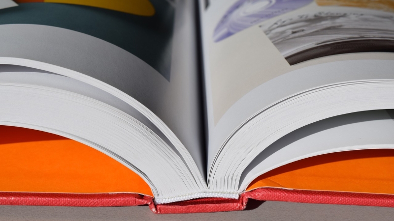 Репетитор развращал шестиклассницу в Петродворце Репетитор развращал шестиклассницу в Петродворце