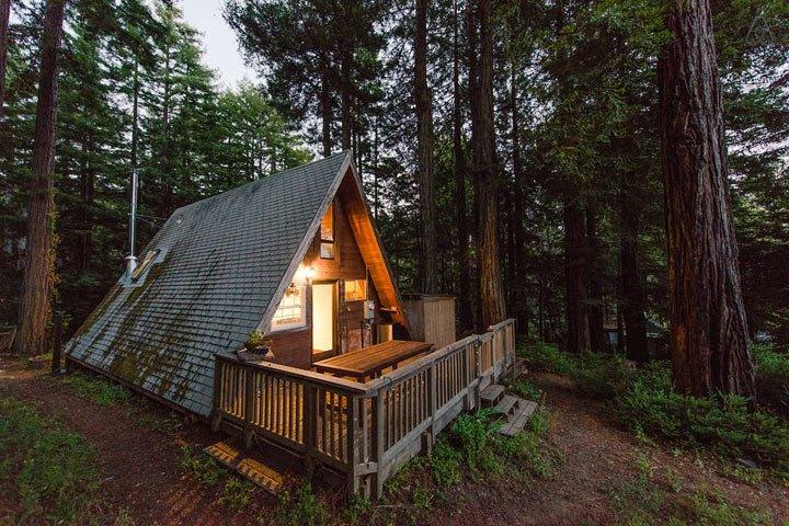 Этот маленький домик похож на крышу посреди леса. Но не спешите с выводами!