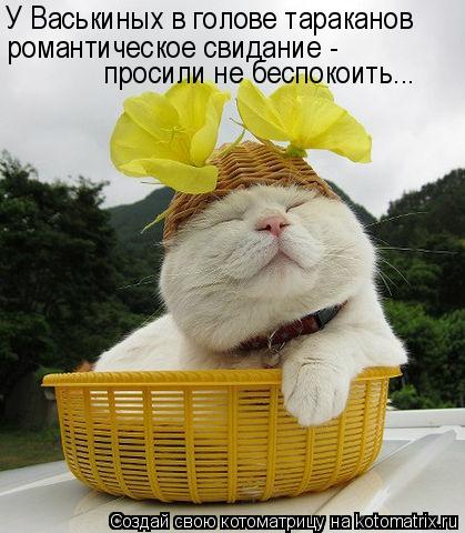 http://mtdata.ru/u1/photo026E/20277736636-0/original.jpg