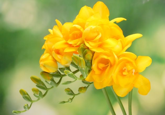 ���� ��������: �������� ������ � �������!