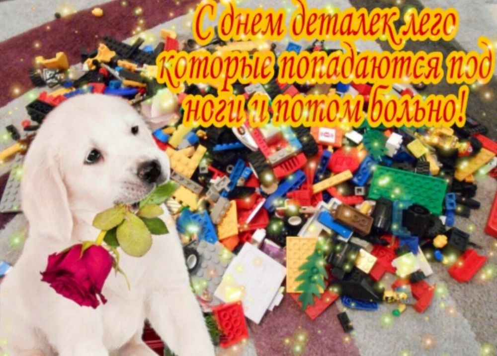 10 упоротых открыток с поздравлениями из WhatsApp