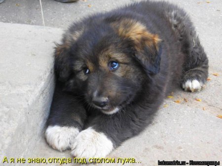 ��������� ����������� ������������..