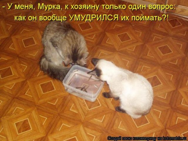 1 (7) (640x480, 53Kb)