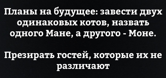 Забавные картинки с надписью для позитива (11 фото) Забавные картинки с надписью для позитива (11 фото)