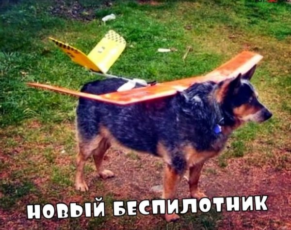 Юмор на любителя Юмор на любителя