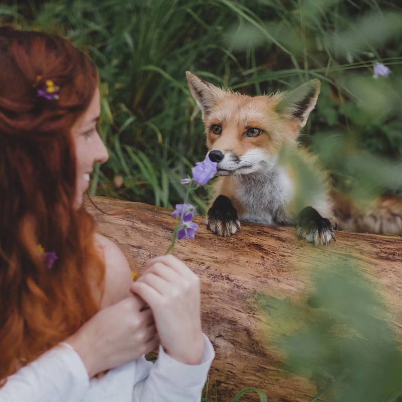 Самый суровый русский фотограф Самый суровый русский фотограф Ольга Баранцева, животные, люди, медведь, милота, фотограф