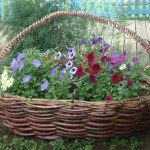 Дачный участок: 33 красивых цветника на даче Дачный участок: 33 красивых цветника на даче