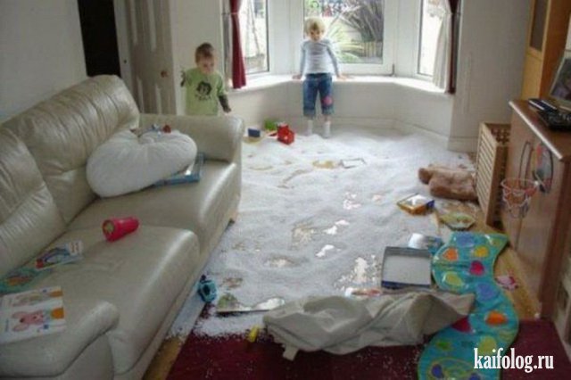 Чудо в перьях (45 фото) Чудо в перьях (45 фото)