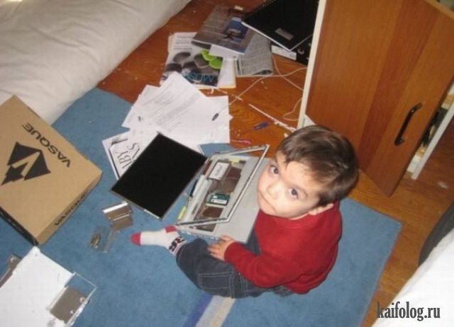 Чудо в перьях (45 фото) Чудо в перьях (45 фото)