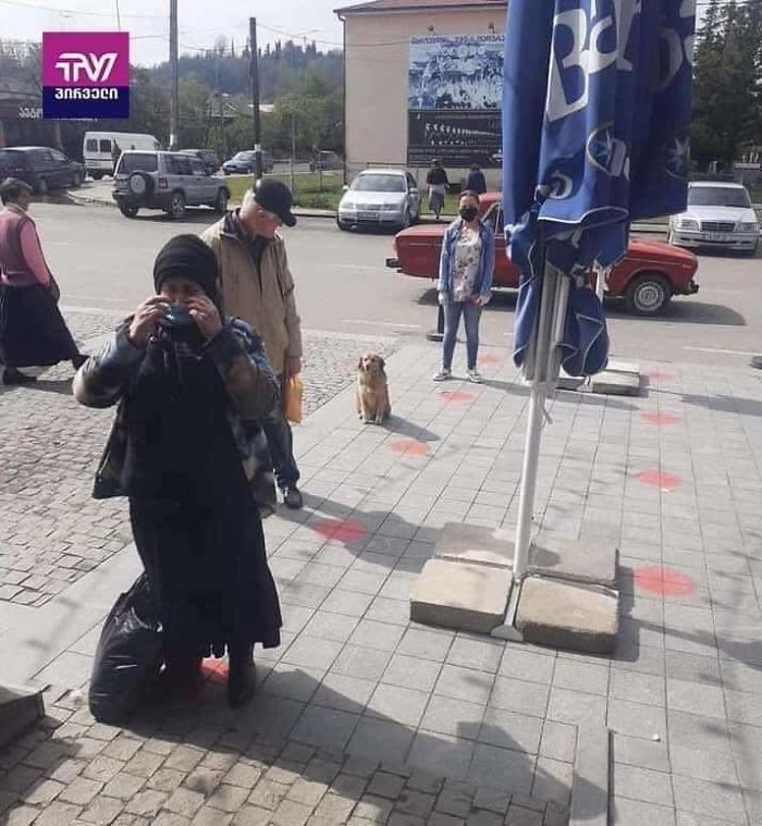 Животные, которые соблюдают социальную дистанцию куда лучше каких-то там людей