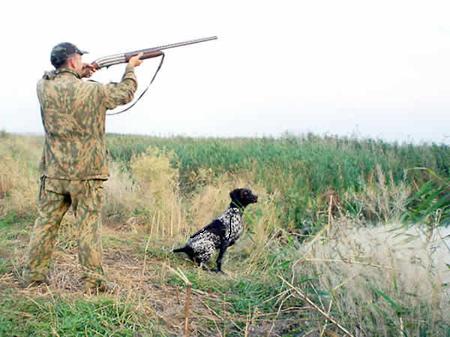 Черкаським мисливцям радять завчасно підготуватися до сезону полювання