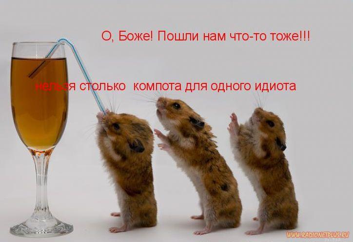 Давайте улыбаться вместе! :) (28поводов)