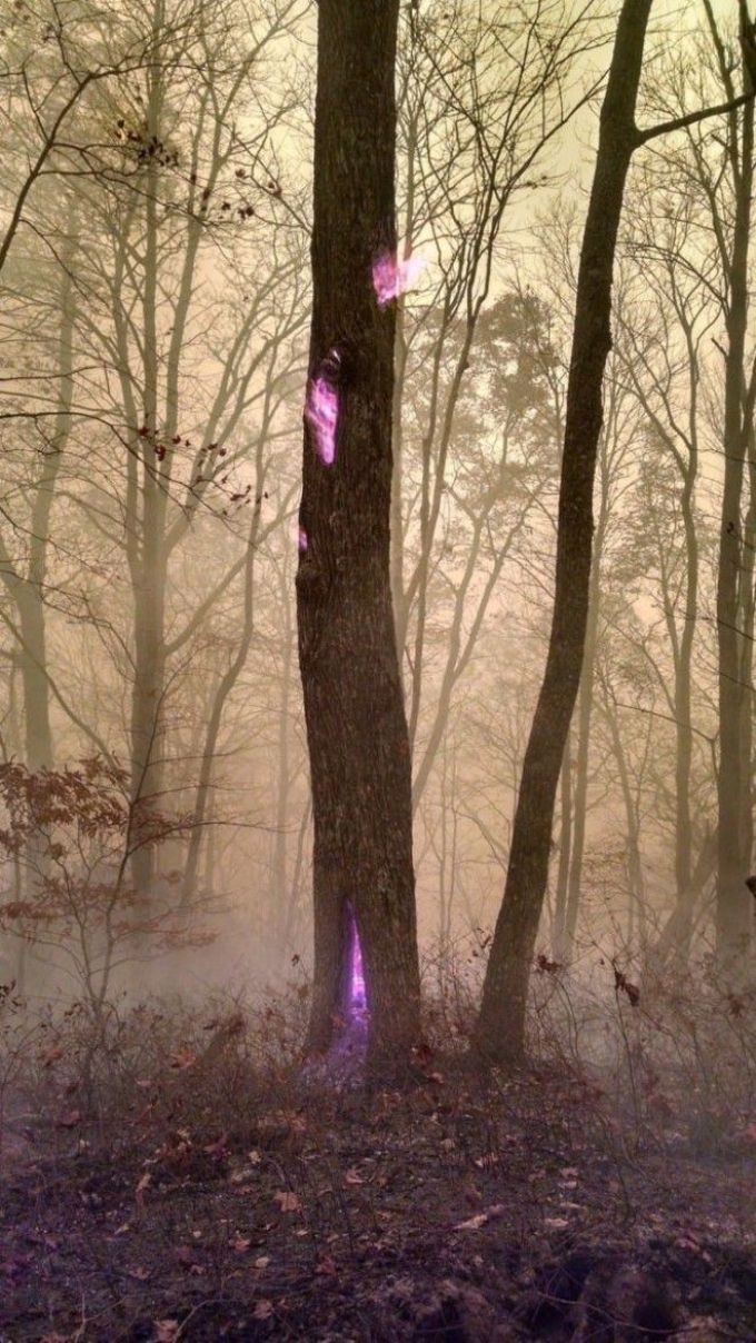 15 изображений, переворачивающих представление о знакомых вещах