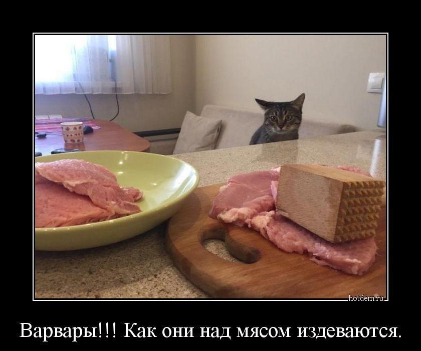 Забавные демотиваторы для ценителей (11 фото) Забавные демотиваторы для ценителей (11 фото)