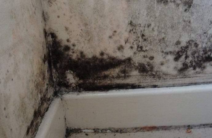 Женщину 37 лет убивало то ужасное, что жило в ее доме Женщину 37 лет убивало то ужасное, что жило в ее доме