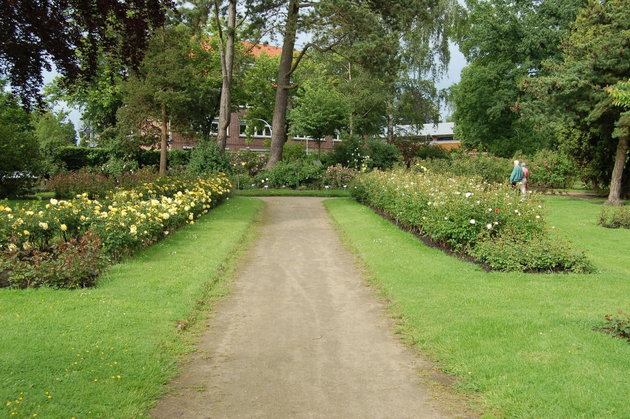 ПАРК РОЗ В ГЕРМАНИИ/ 'ROSARIUM UETERSEN'