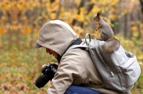 Фотографы дикой природы