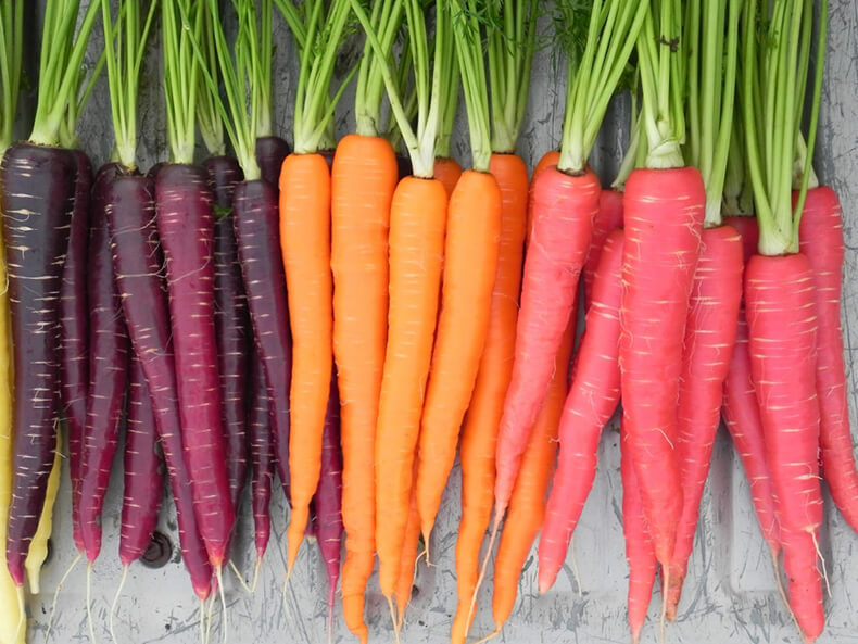 10 продуктов, которые были генетически модифицированы, но об этом мало кто знает 10 продуктов, которые были генетически модифицированы, но об этом мало кто знает