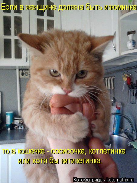 Котоматрица: Если в женщине должна быть изюминка, то в кошечке - сосисочка, котлетинка или хотя бы китикетинка.