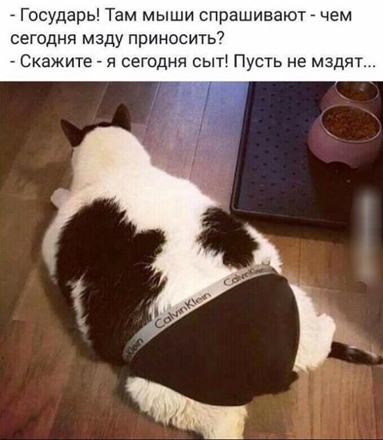 Забавные картинки и юмор из социальных сетей (24 скриншота)