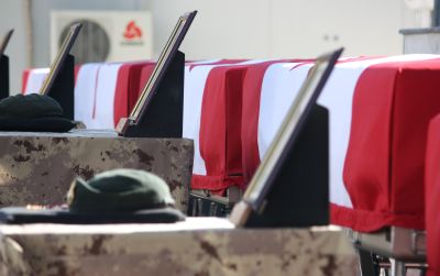 Пушечный фарш