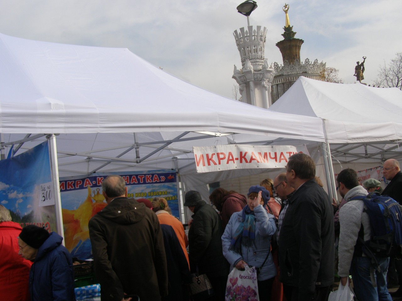 Прогулки по Москве. Осень на ВДНХ. Прогулки по Москве. Осень на ВДНХ 2014.