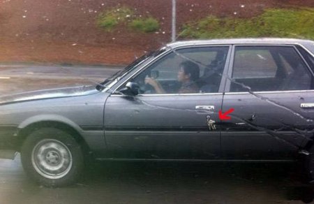Автоледи за рулем Автоледи за рулем