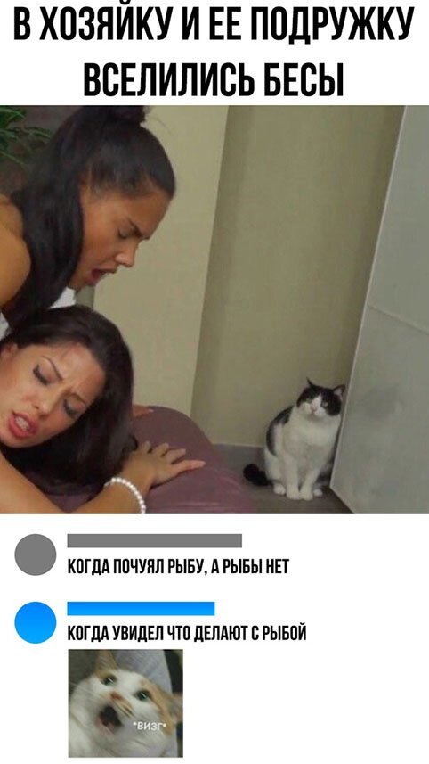 ПРИКОЛИСЬ ПРИКОЛИСЬ