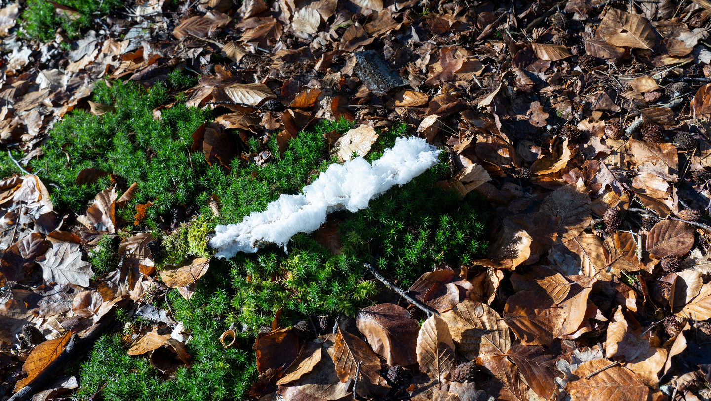 Где искать ледяные волосы