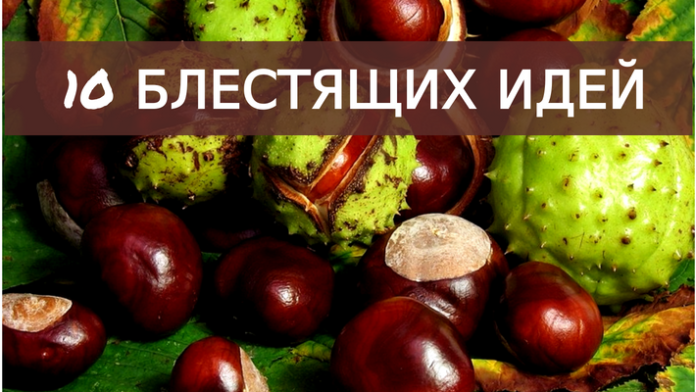 10 БЛЕСТЯЩИХ ИДЕЙ 10 БЛЕСТЯЩИХ ИДЕЙ