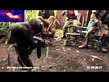 Chimp With AK-47 Shoots at Soldiers