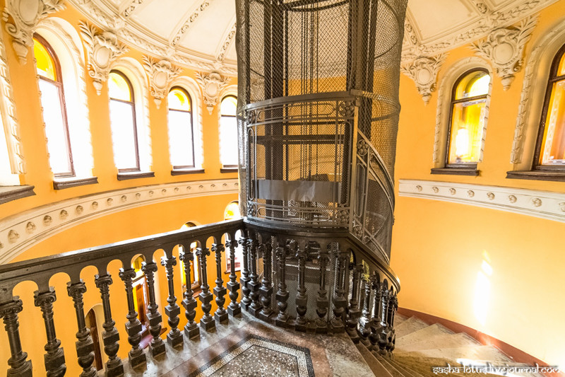 "Ромашка" - самая красивая парадная Санкт-Петербурга Парадная, факты, фото