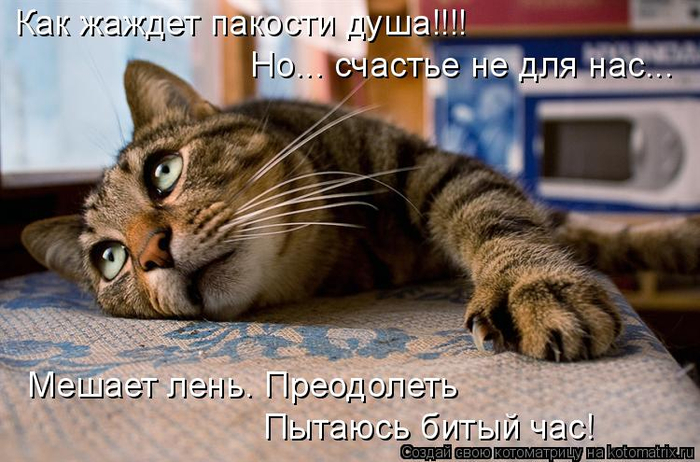 13 (700x462, 355Kb)