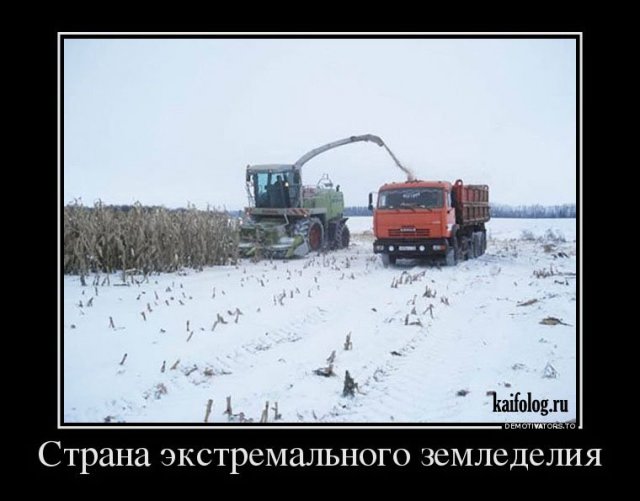 Русские демотиваторы года (110 штук)