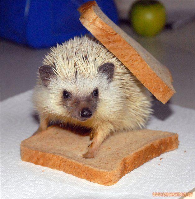 Давайте улыбаться вместе! :) (28поводов)