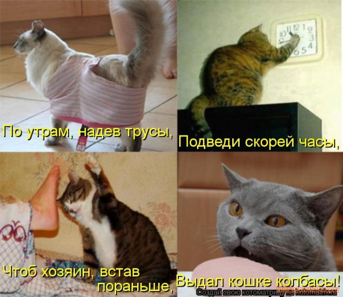 Котоматрицы великолепные, каждая с кусочком позитива и хорошего настроения!!! Котоматрицы великолепные, каждая с кусочком позитива и хорошего настроения!!!
