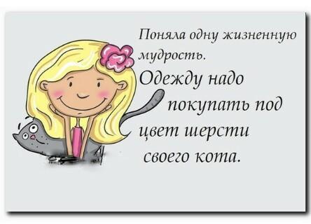 Прикольные фразочки в картинках