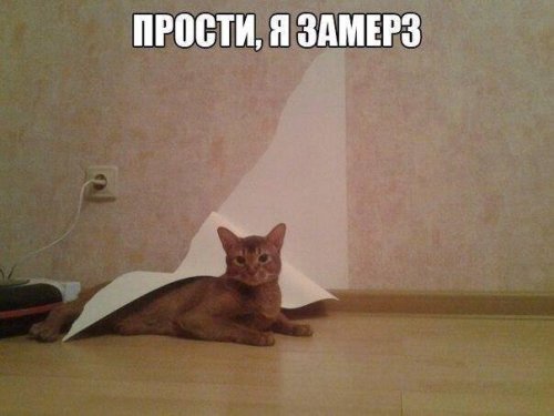 Ночные прикольные картинки (30 шт) Ночные прикольные картинки (30 шт)