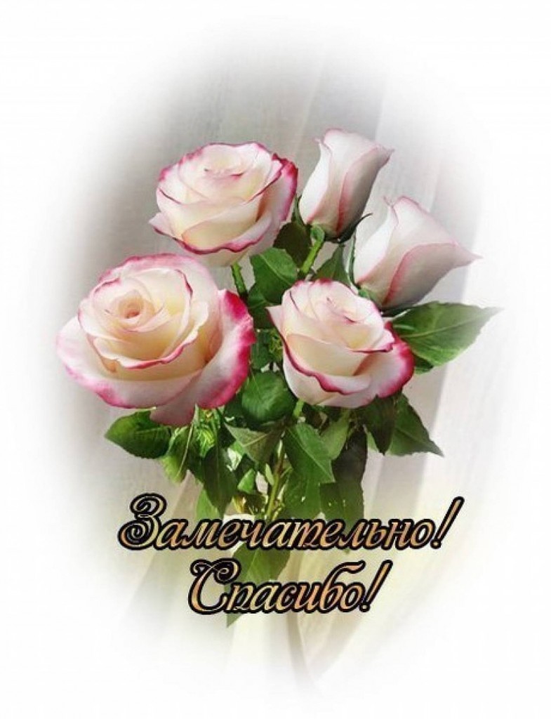 Благодарность в прозе за подарки Благодарность в прозе за подарки