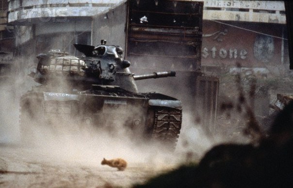 Кот перебегает через улицу во время уличного боя в Бейруте, Ливан, 1980-е. история, события, фото