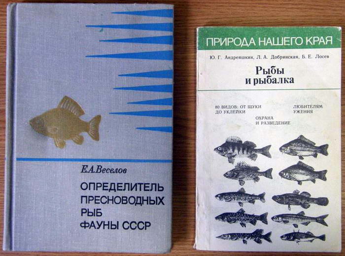 советские журналы о рыбалке советские журналы о рыбалке