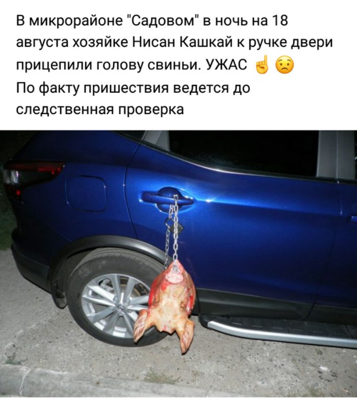 Народная дружина ГИБДД в деле Народная дружина ГИБДД в деле
