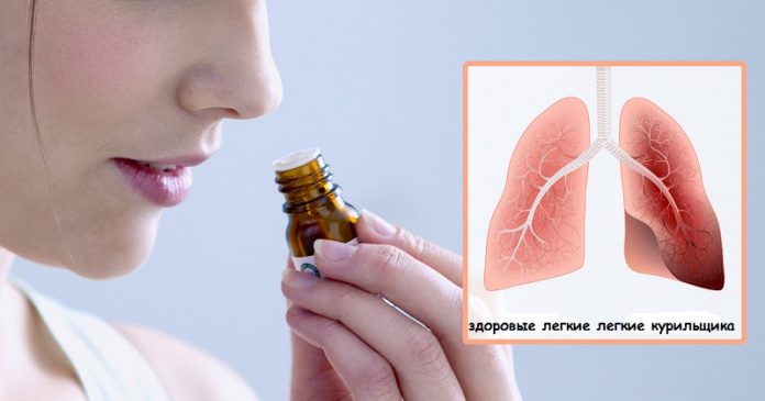 JuicingVegetables_Aug10_05_Ex-Smokers-Here-are-5-Lung-Cleansing-Herbs-You-Ought-to-Use