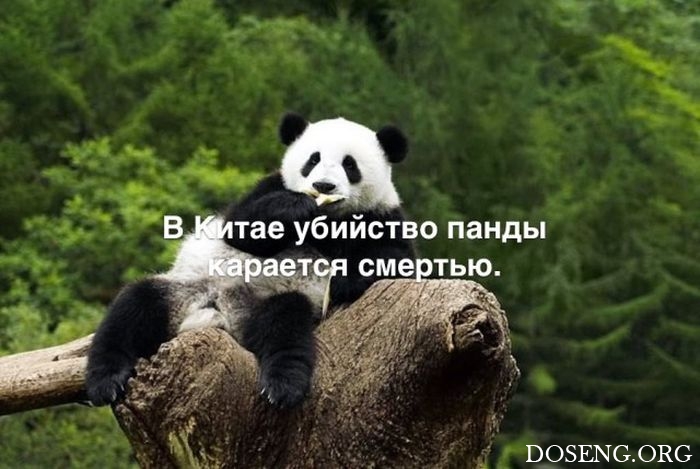 Любопытные и интересные факты обо всем на свете Любопытные и интересные факты обо всем на свете