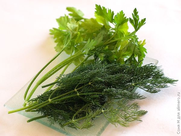Котлеты с креветками и зеленью Котлеты из креветок и зелени