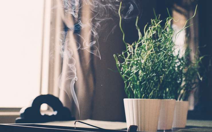 Причины неприятного запаха в доме