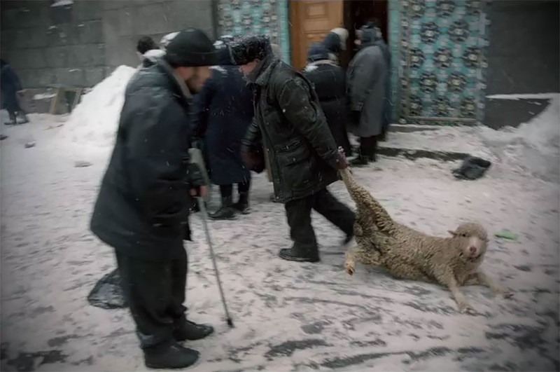 Наша маленькая жизнь глазами российского фотографа Наша маленькая жизнь глазами российского фотографа моменты жизни, отограф, репортаж, фото
