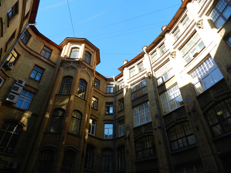 Совы Петербурга Совы Петербурга