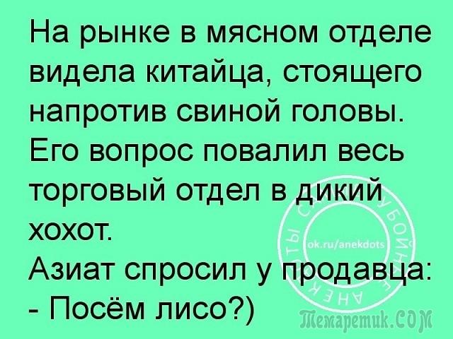Анекдоты в картинках Анекдоты в картинках
