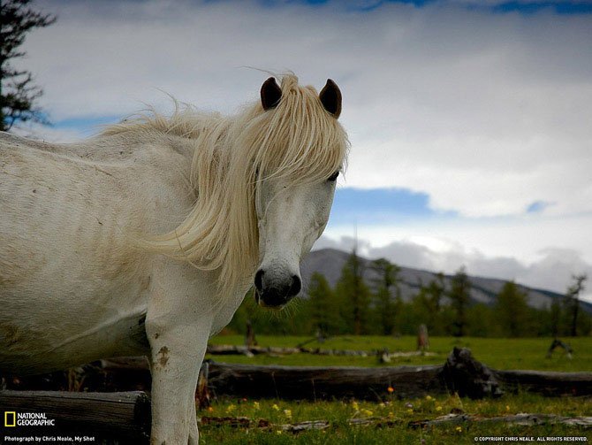    2011  National Geographic